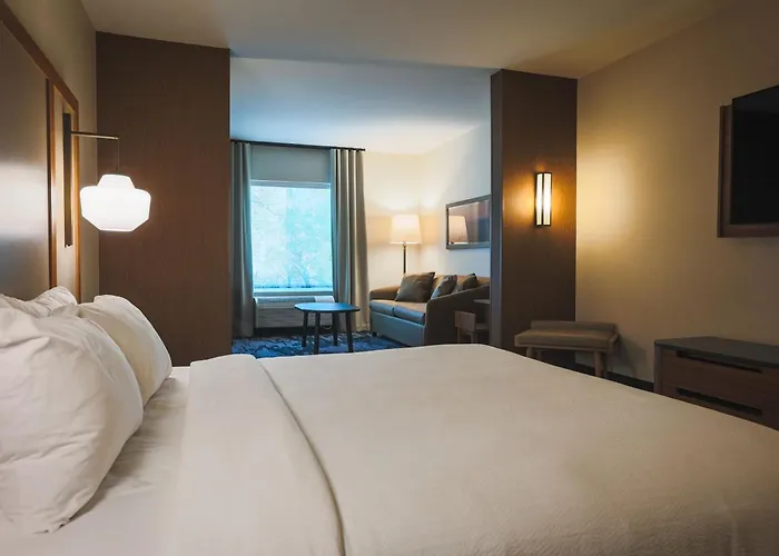 Fairfield Inn&Suites Marquette
